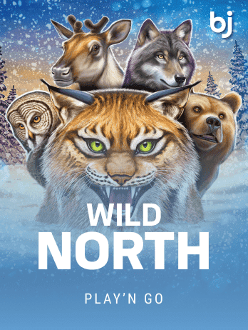 Wild North thumbnail